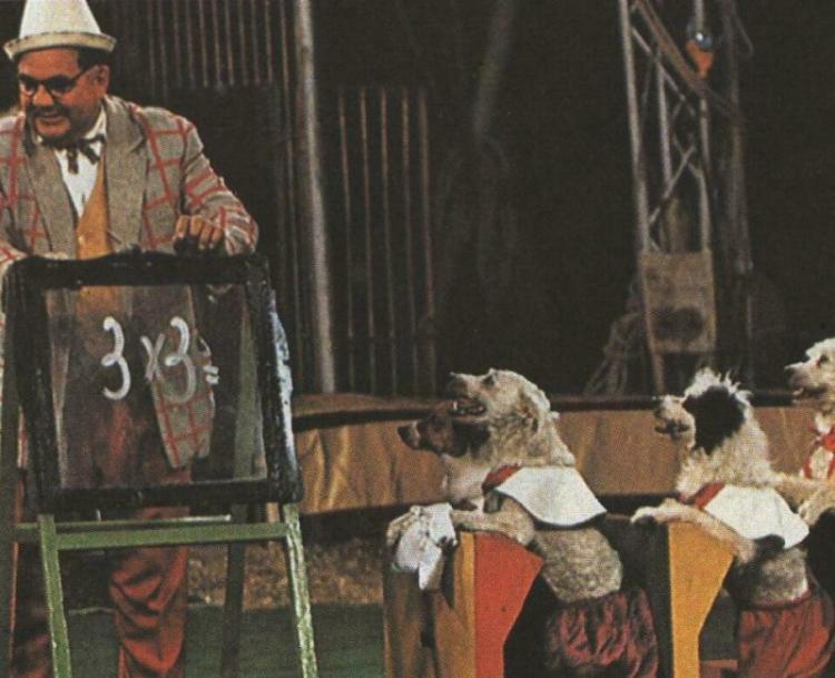 Выступление собак в цирке