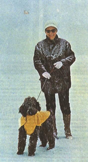 Накидка может быть элегантным нарядом, защищающим собаку от холода